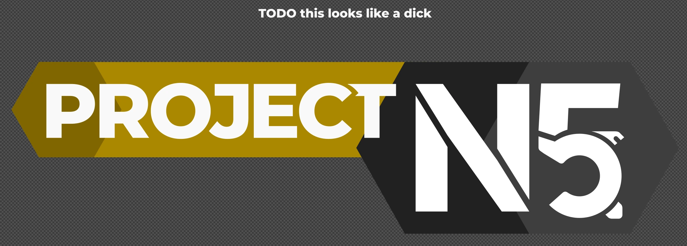 Project N5 logo with a golden background and a note on top that reads 'TODO this looks like a dick'